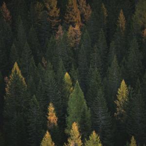 Hänsel e Gretel💙🩷🌷