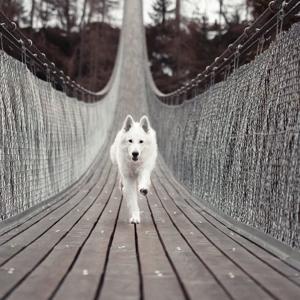 jhymie 3Speak Podcast