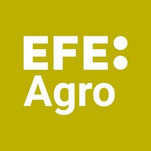 MUNDO RURAL