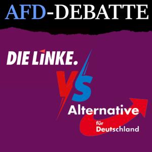 AFD Debatte - Warum die AFD wählen?