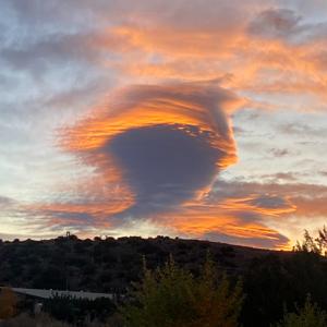 Fortuitous Encounters