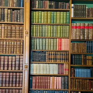 Exporting Racism: American Production, Nazi Consumption