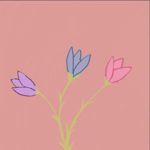 Les mots d'une grande soeur, réflexion douce et pratique