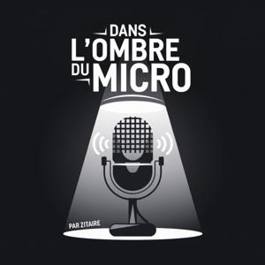 Dans l'ombre du micro
