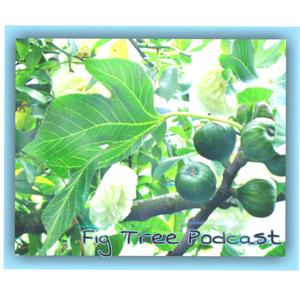 Fig Tree Podcast