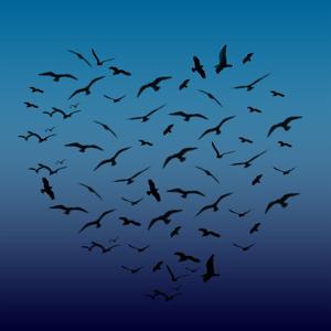 Swim or Sink Podcast