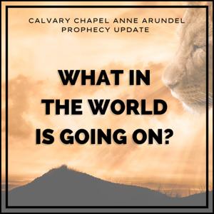 What in the World is Going on?