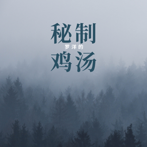 罗洋的秘制鸡汤