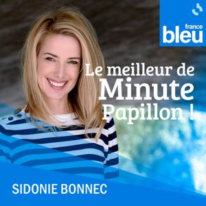 Le meilleur de Minute Papillon !