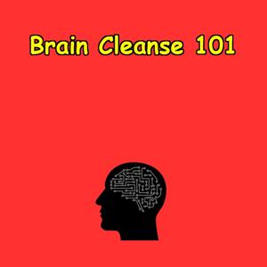 Brain Cleanse 101 | Clear Fog & Reset Habits