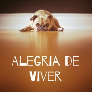 Alegria de Viver by Sérgio Duarte/Bruno Henriques