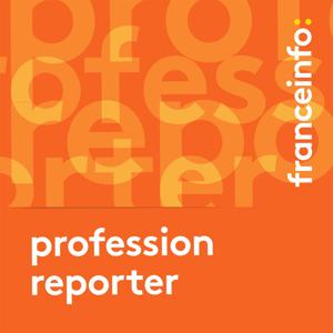 Profession : reporter