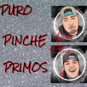 Puro Pinche Primos
