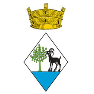 Plens Municipals