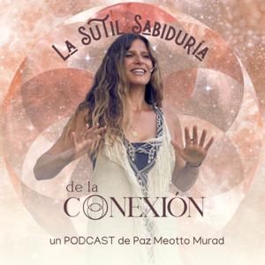 La sutil sabiduría de la conexión
