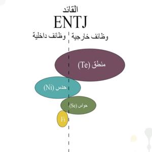 مع ENTJ