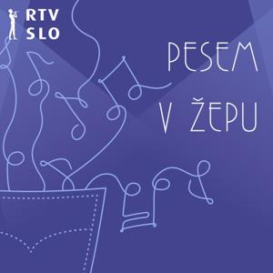Pesem v žepu