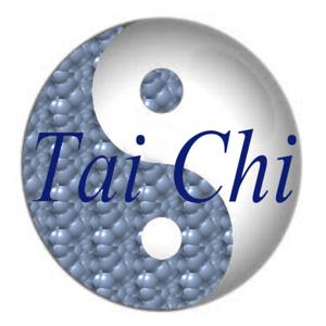 John Vihilidal's Tai Chi by John Vihilidal