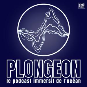 Plongeon