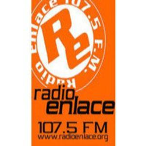 Especiales Radio Enlace