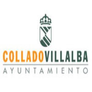 Plenos Municipales