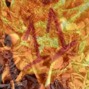 firebone11 3Speak Podcast