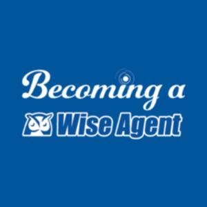 Becoming a Wise Agent