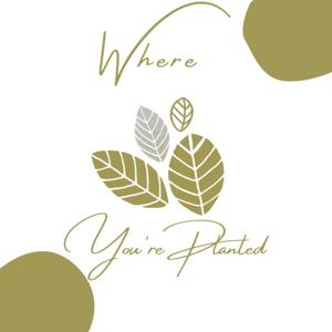 Where You're Planted