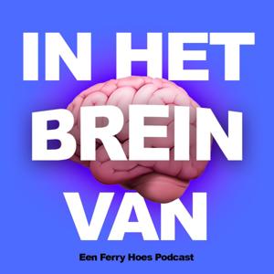 In het brein van