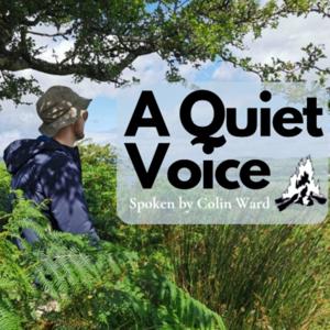 A Quiet Voice