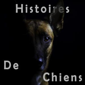 Histoires de Chiens