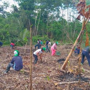 Proyecto de Titulación