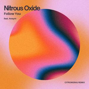 Nitrous Oxide feat. Aneym - Follow You (citrongrau remix)