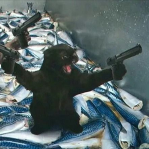 Dr. Willy - Fertility Red