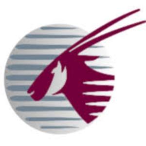 How I Checked My Qatar Visa Online Easily