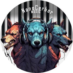NanoCerber