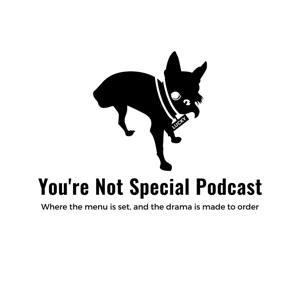 YOU'RE NOT SPECIAL PODCAST