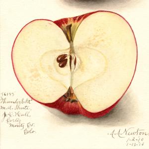 Western Slope Archives