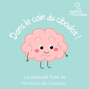 Dans le coin du ciboulot !