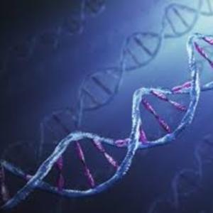 Pildoras de bioética