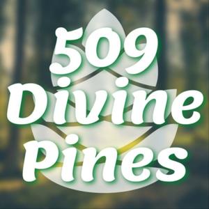 509 Divine Pines