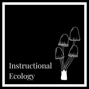 Instructional Ecology