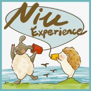 Niu Experience 思緒整理中