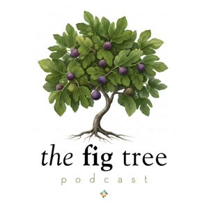 The Fig Tree Podcast