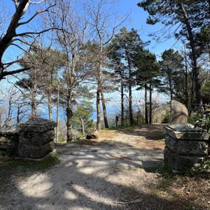 Kommunikation kann …