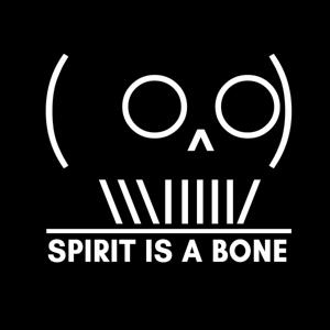 Spirit is a Bone