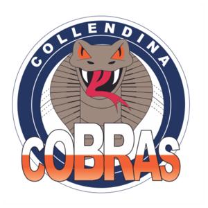 The Cobra’s Cricket Podcast