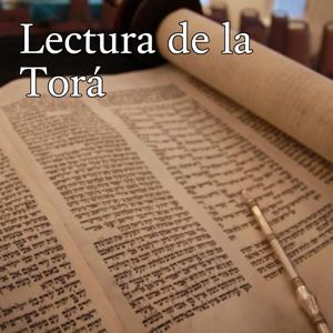 Lectura de la Torá