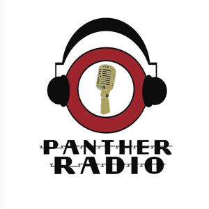 Panther Hub