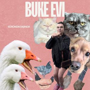 Sürünün Dışında